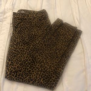 Leopard ankle length pants